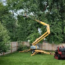 Best Lawn Pest Prevention  in Bealeton, VA