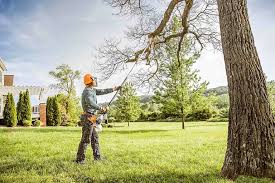Best Grass Overseeding  in Bealeton, VA