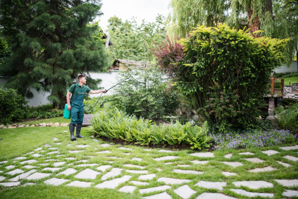 Best Fruit Tree Pruning  in Bealeton, VA