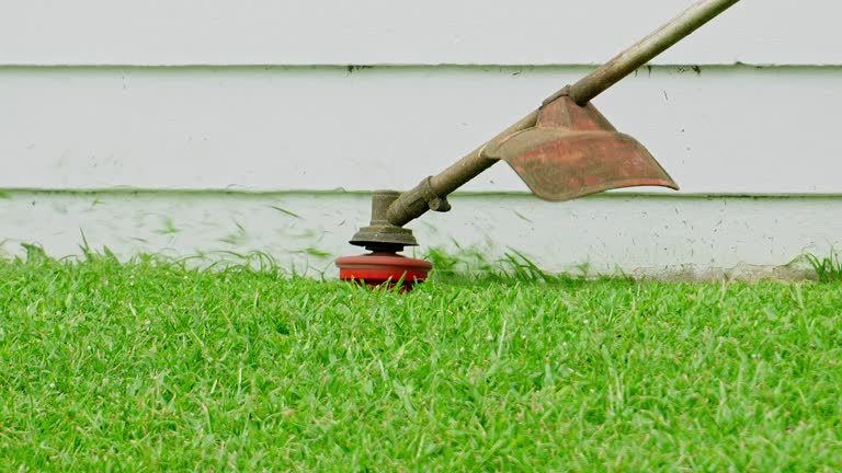 Best Stump Grinding and Removal  in Bealeton, VA