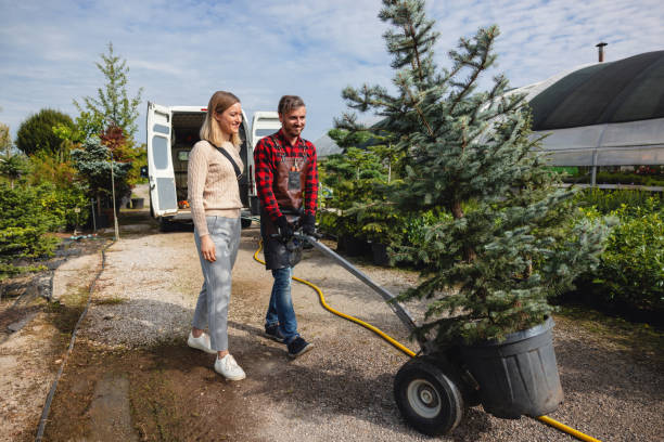 Best Lawn Irrigation Installation and Maintenance  in Bealeton, VA